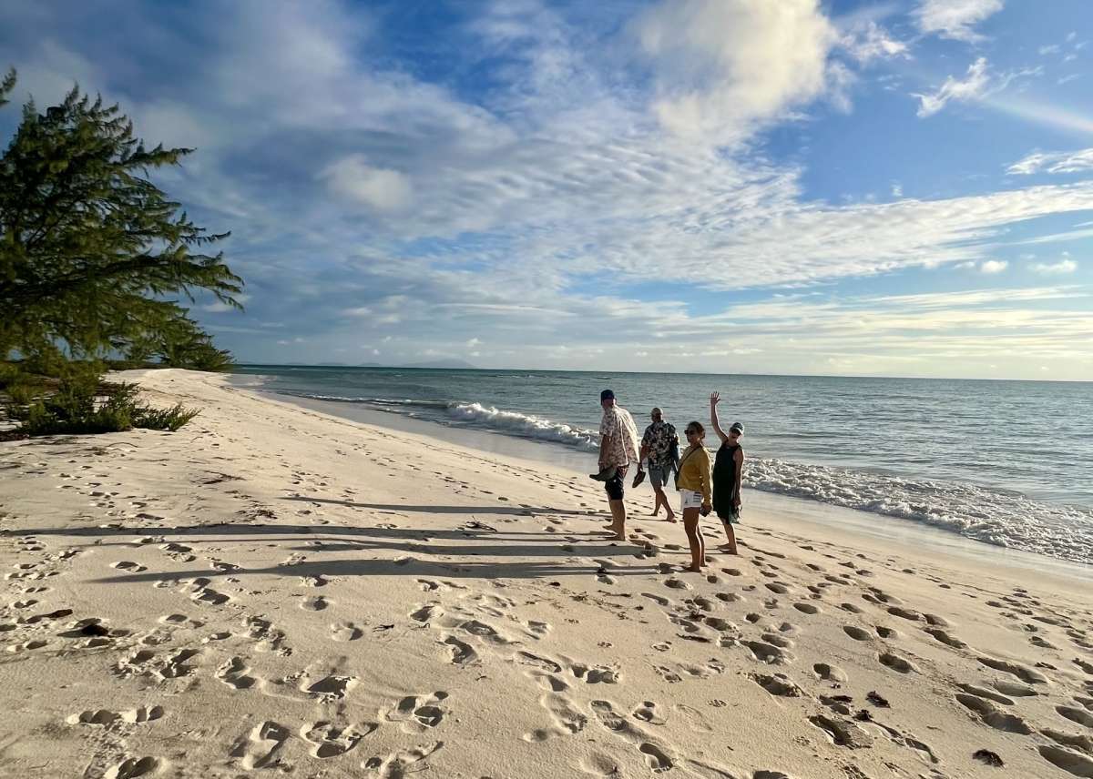 SANDY CINCO guest review