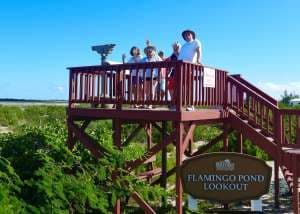 SANDY CINCO guest review