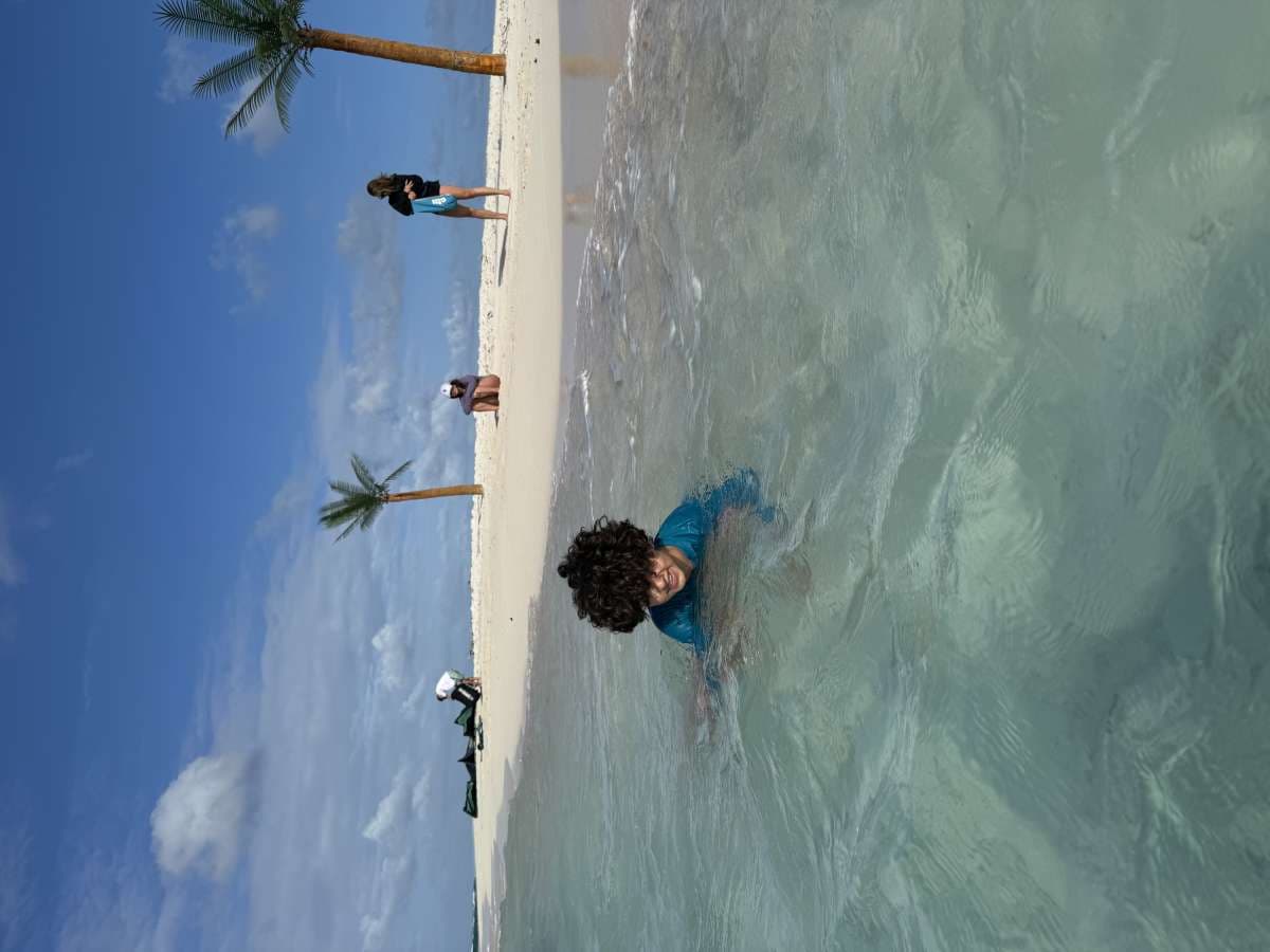 AWATEA guest review