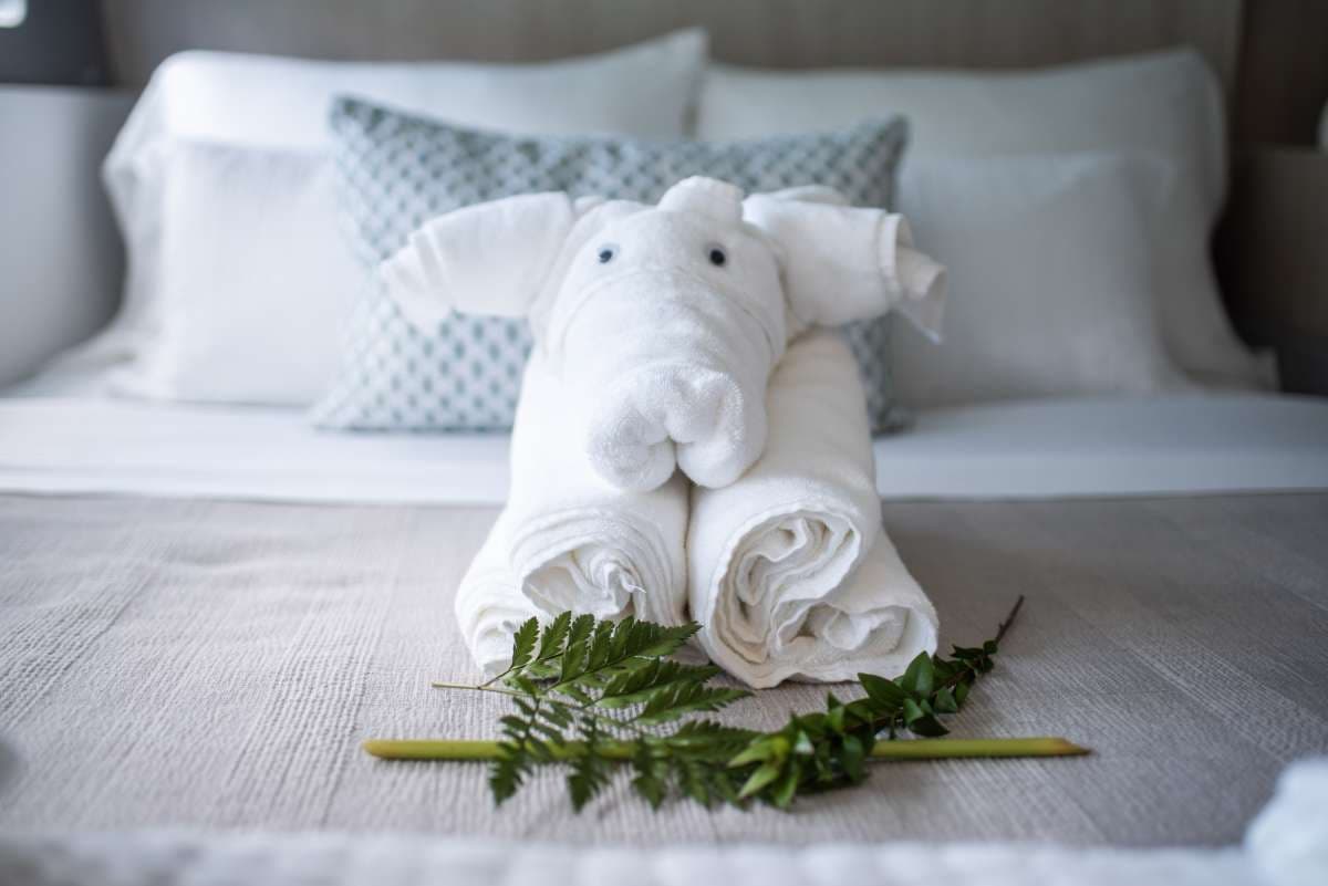 EMYSA guest review