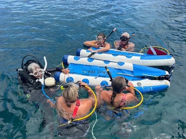 SUN GODDESS guest review