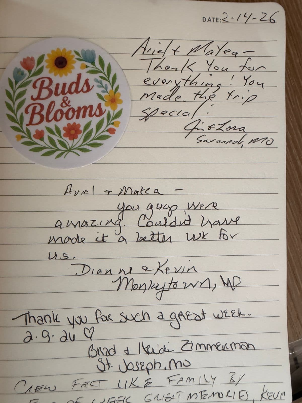 Stella Mare guest review