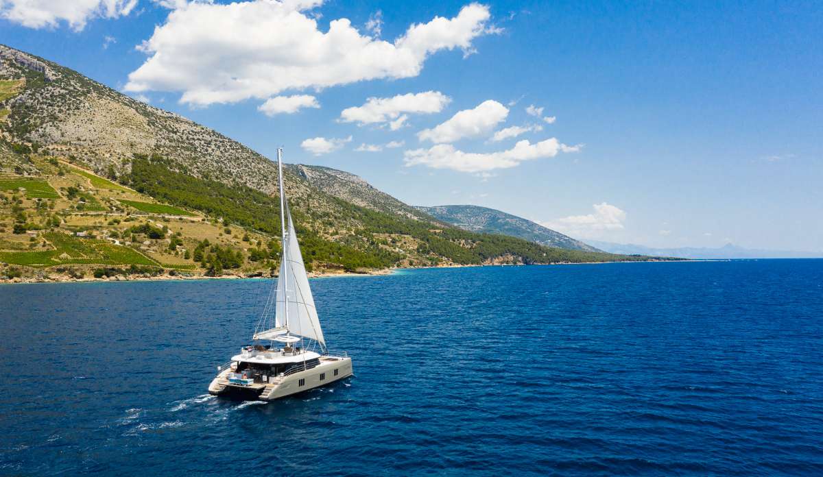 VULPINO guest review