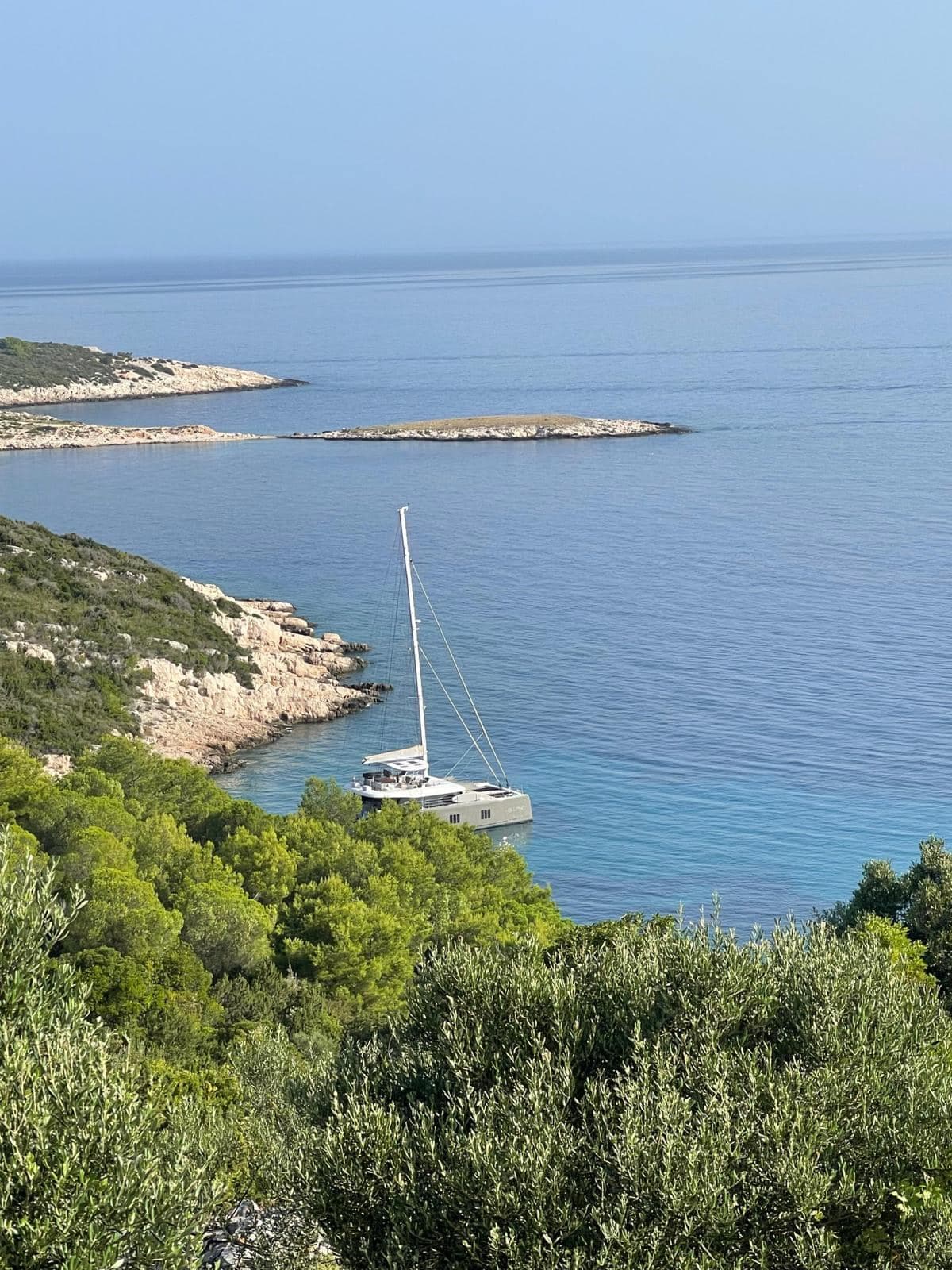 VULPINO guest review