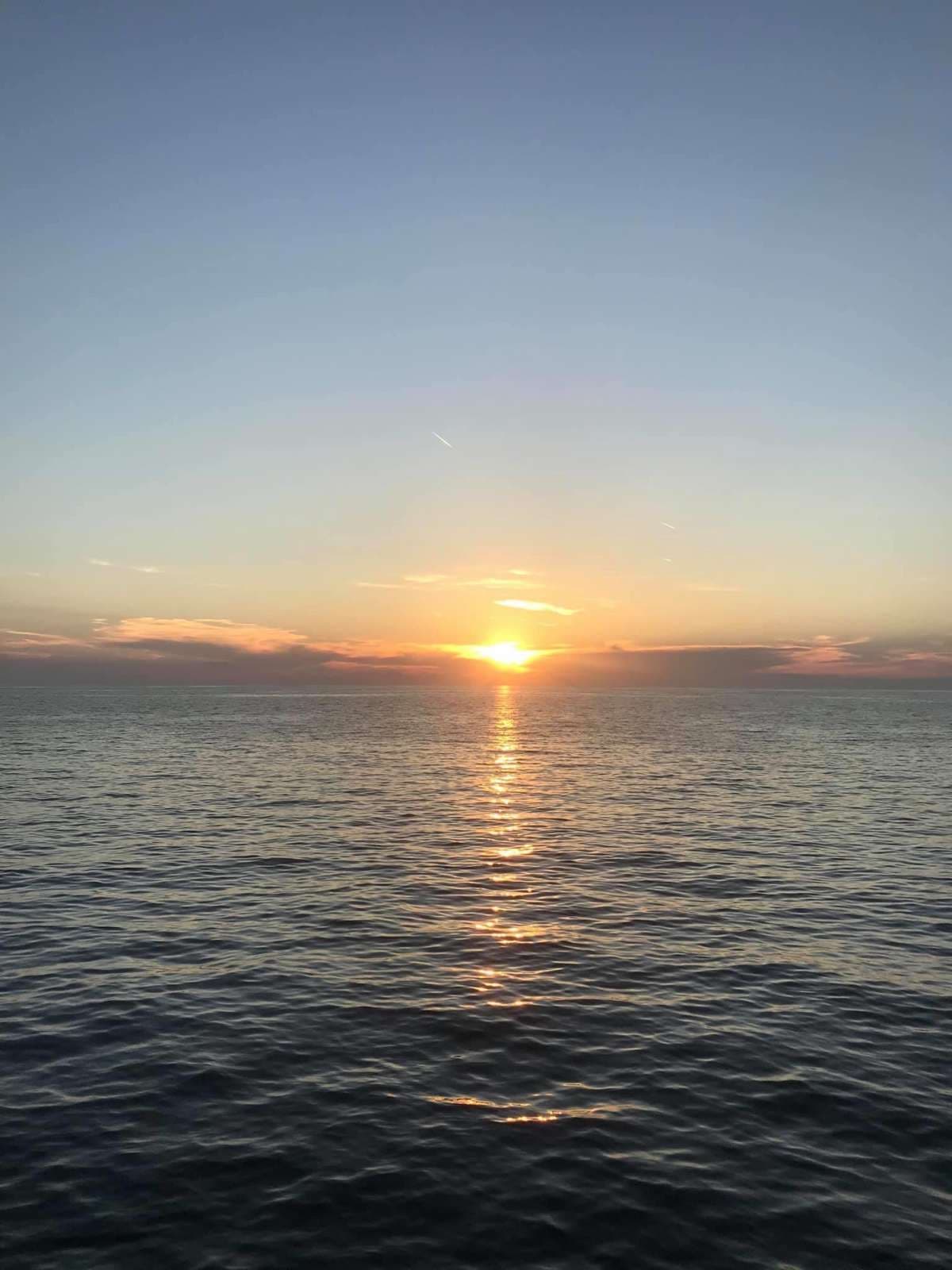 VULPINO guest review