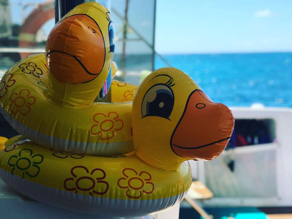 SAIL AWAY guest review