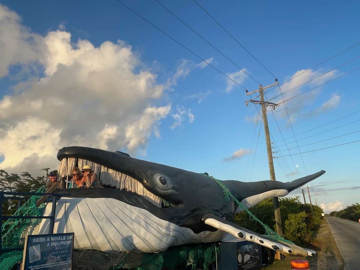 OCEAN VIBES guest review