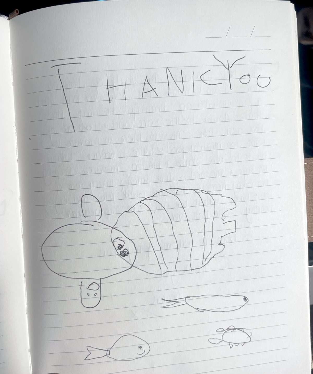 OCEAN VIBES guest review