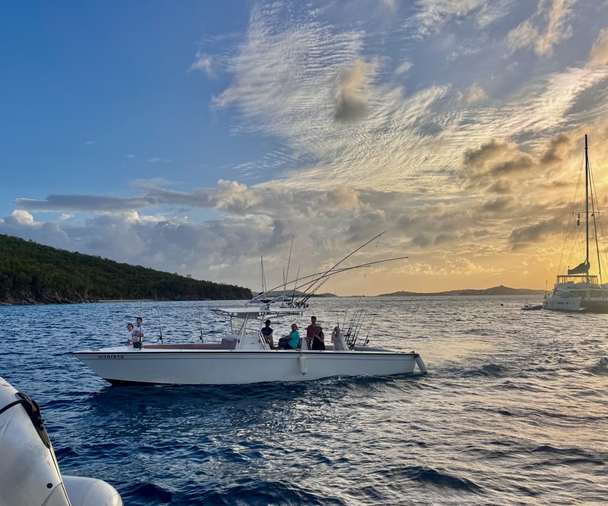 CELESTINE guest review