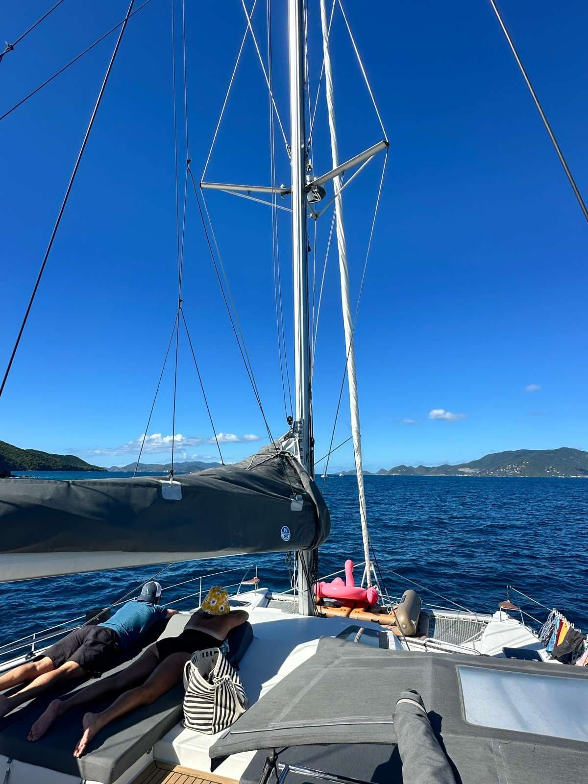 IARA guest review