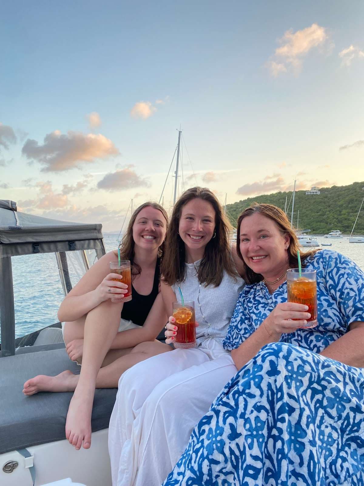 IARA guest review