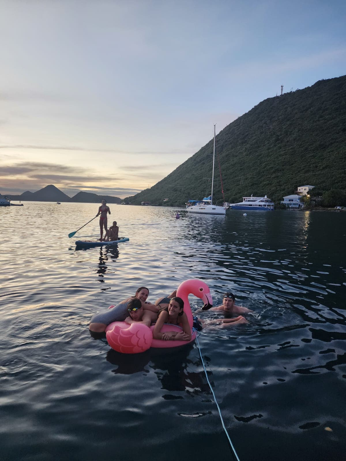 IARA guest review