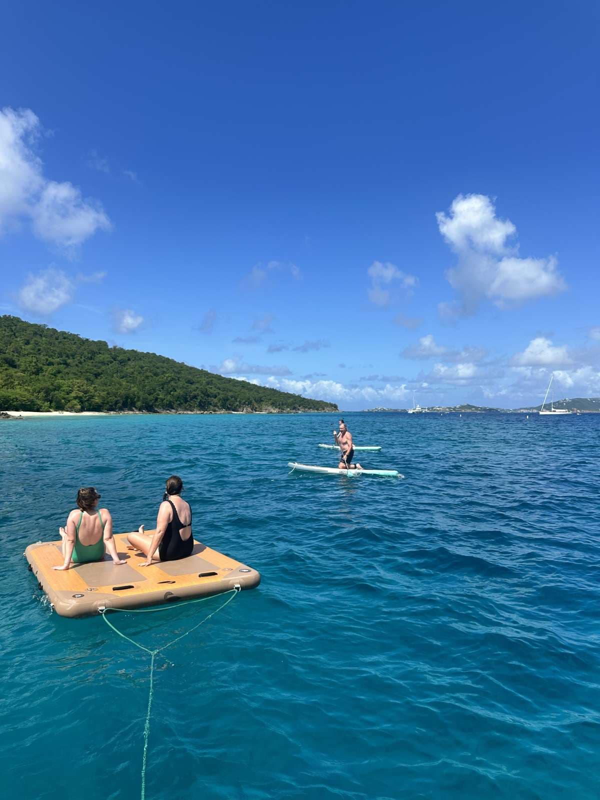 IARA guest review