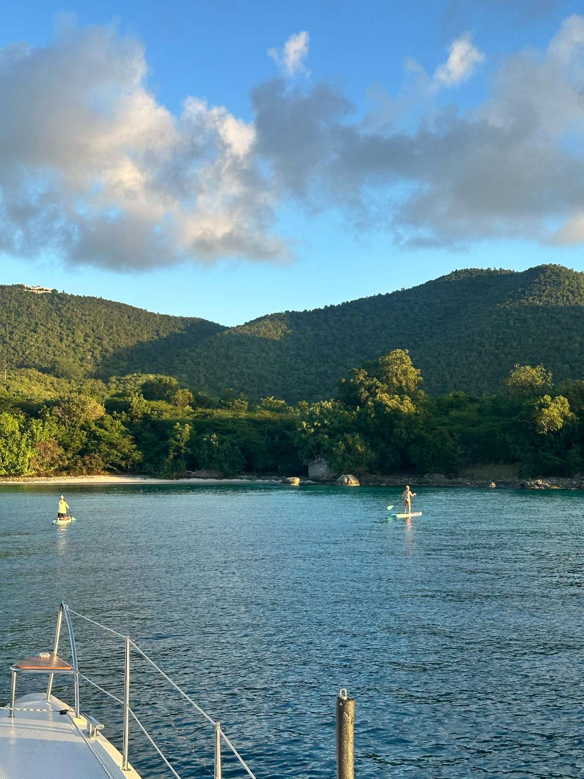 IARA guest review