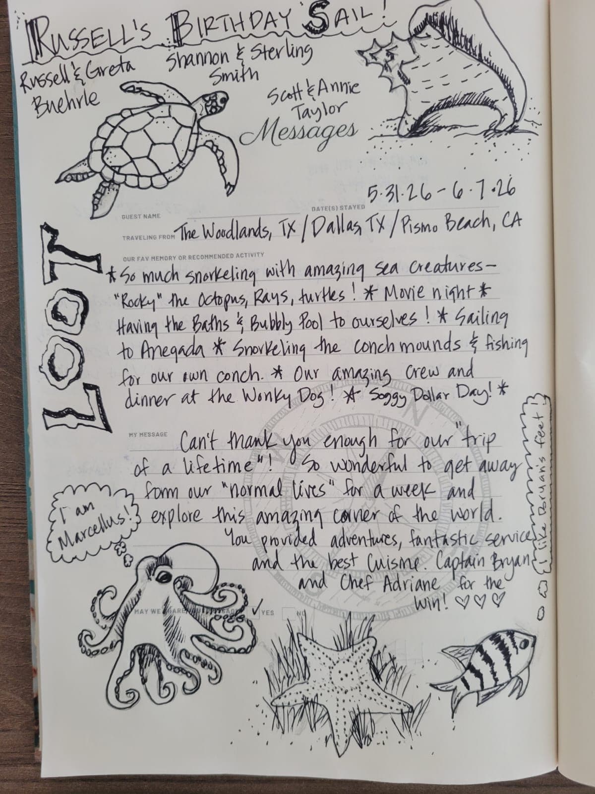 KASIOPEJA guest review