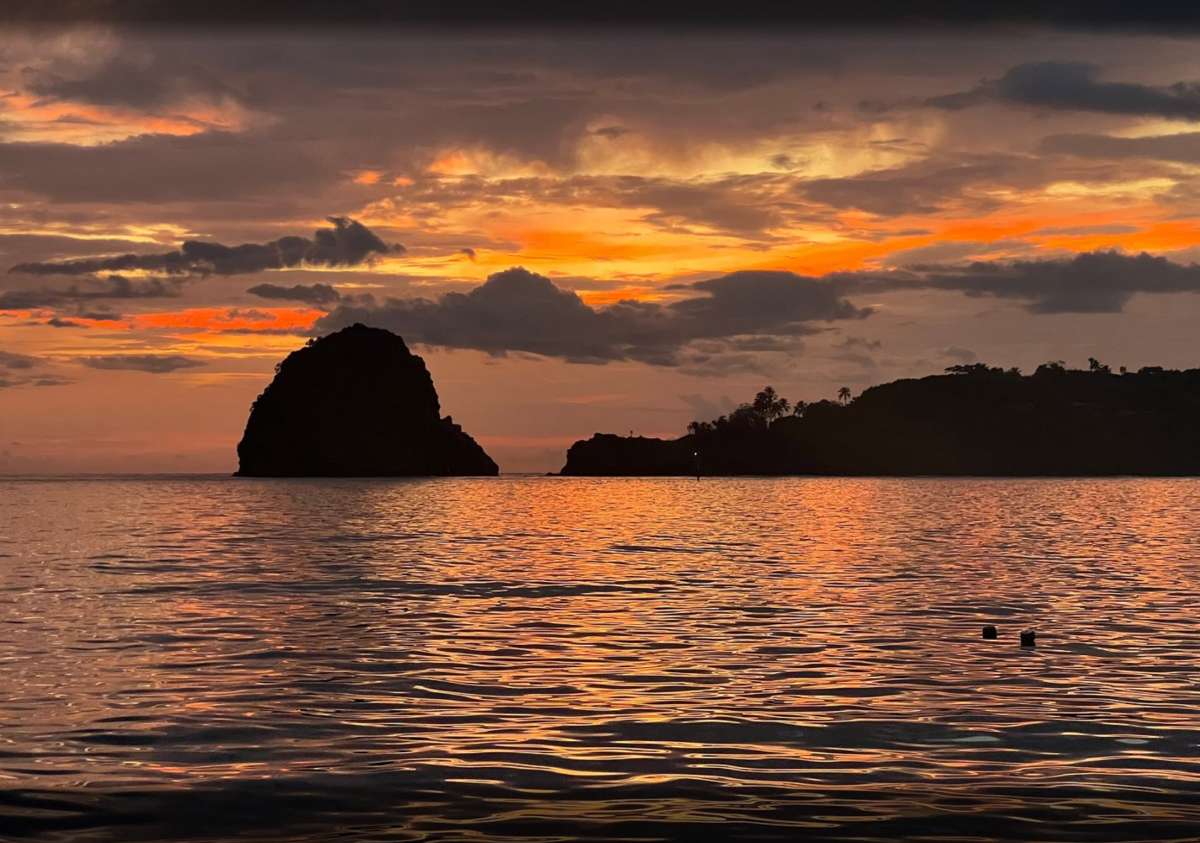 PURA VIDA guest review