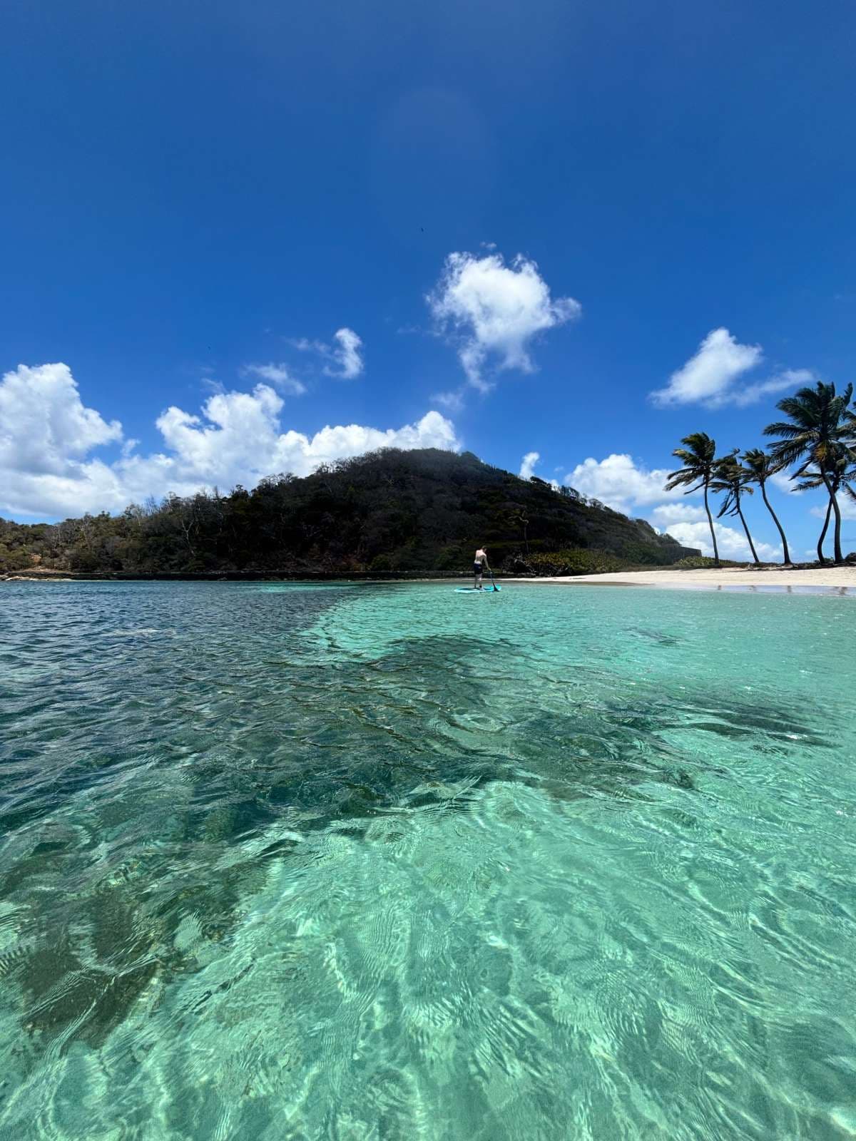 ISOLABLUE guest review