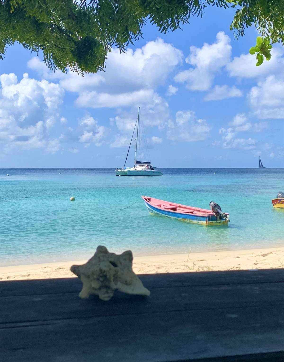 ISOLABLUE guest review