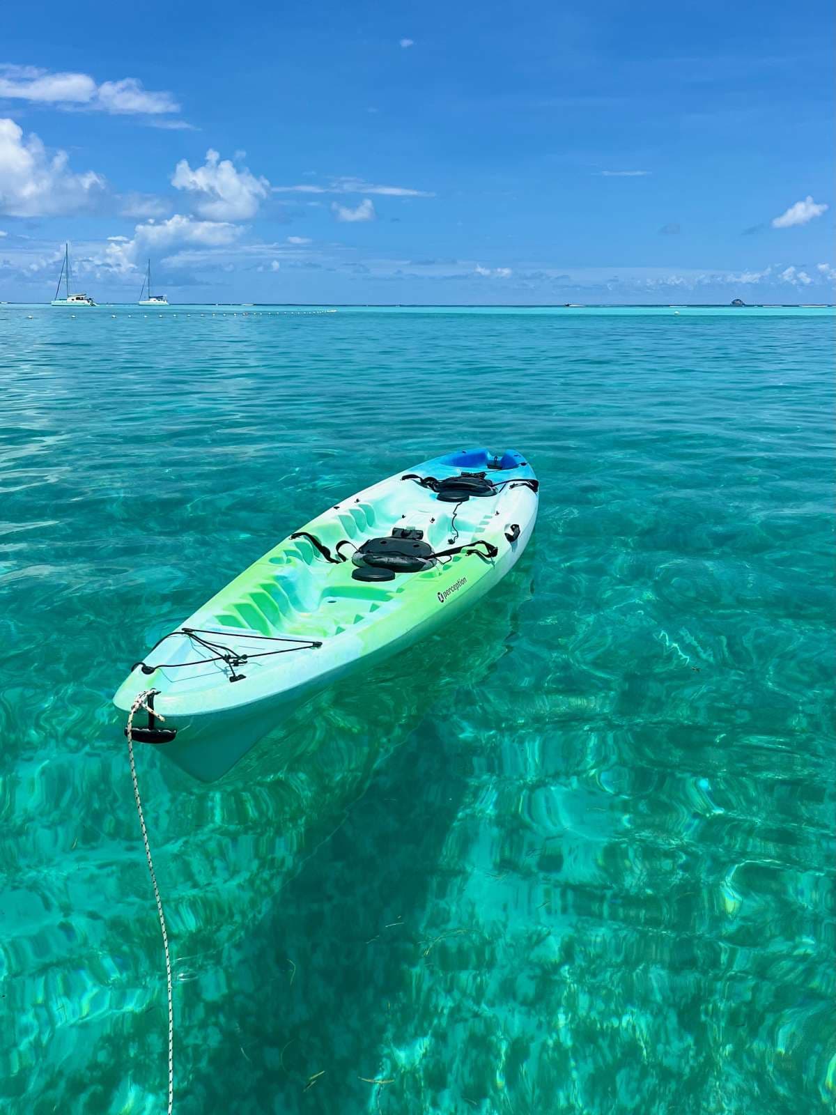 ISOLABLUE guest review