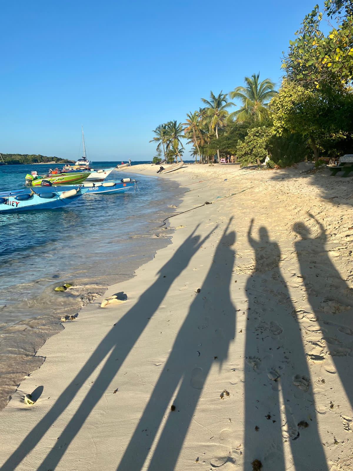 ISOLABLUE guest review