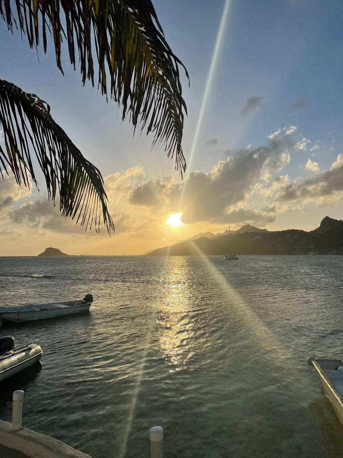 ISOLABLUE guest review