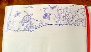 ISOLABLUE guest review