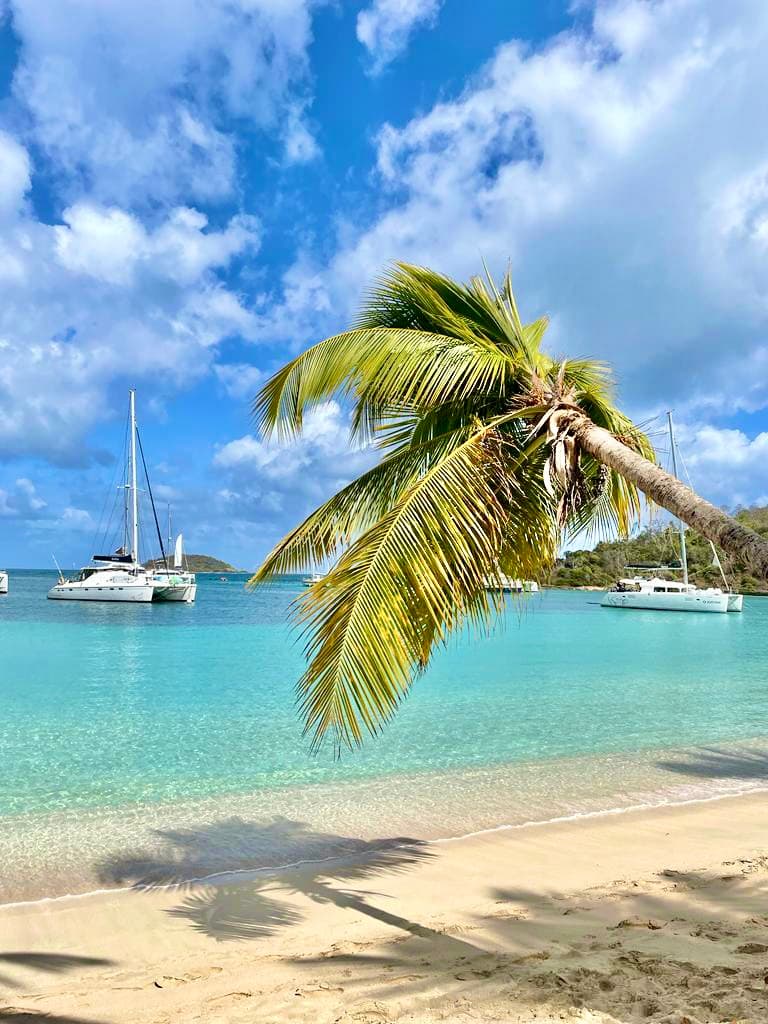 ISOLABLUE guest review