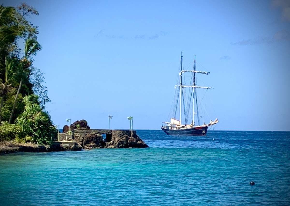 ISOLABLUE guest review
