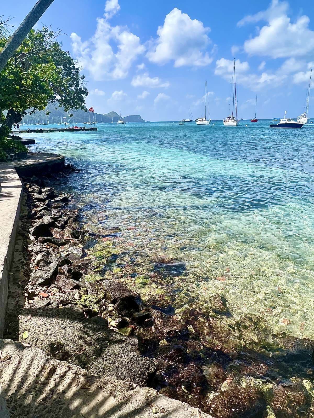 ISOLABLUE guest review