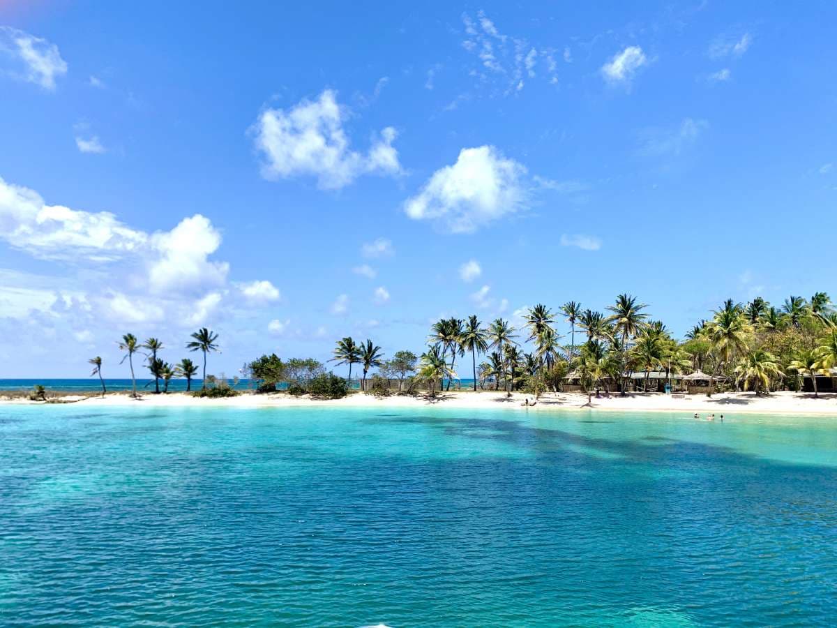 ISOLABLUE guest review