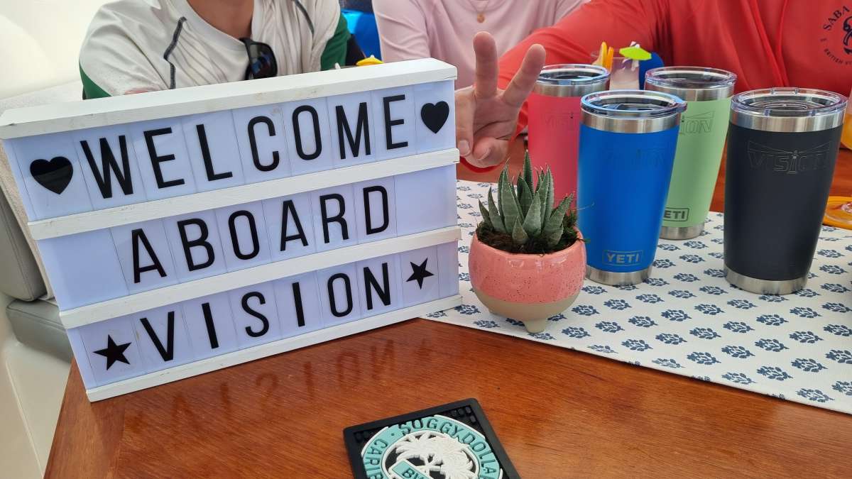 VISION guest review