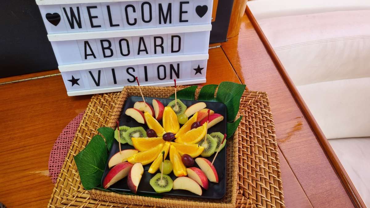 VISION guest review