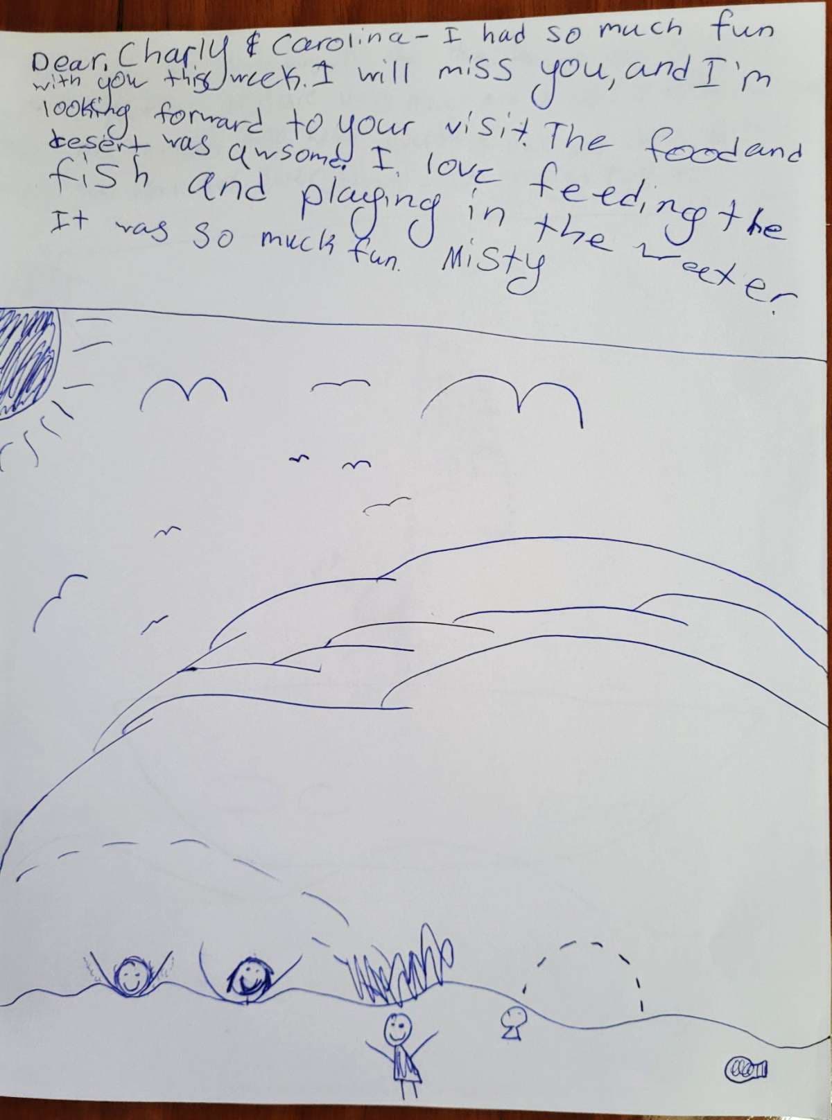 VISION guest review