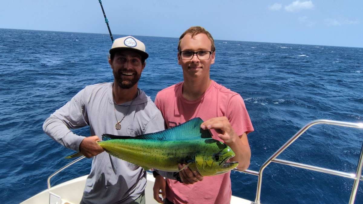 SEA ESTA guest review