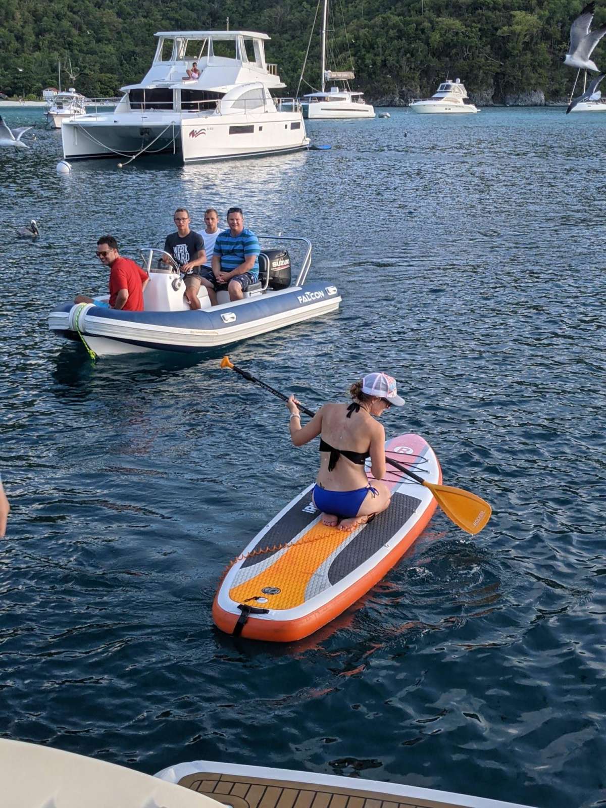 SEA ESTA guest review