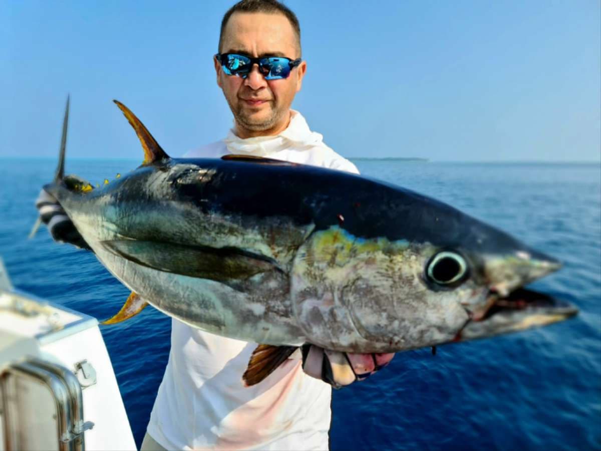 OVER REEF guest review