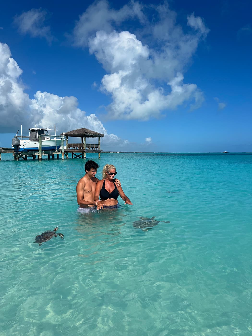 TAHINA guest review
