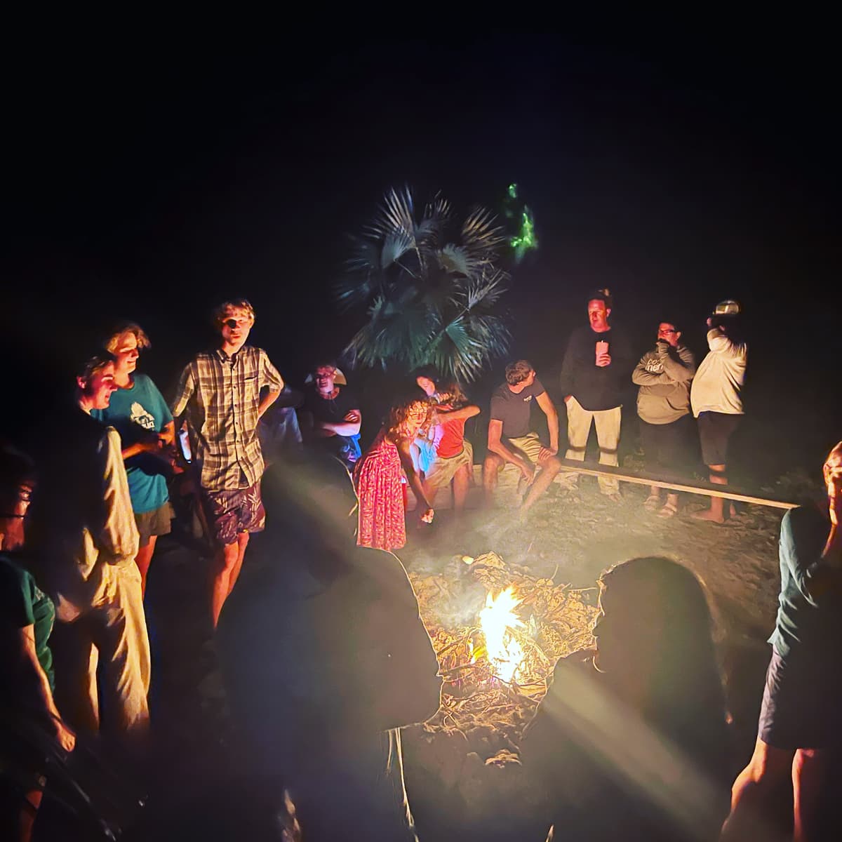 TAHINA guest review