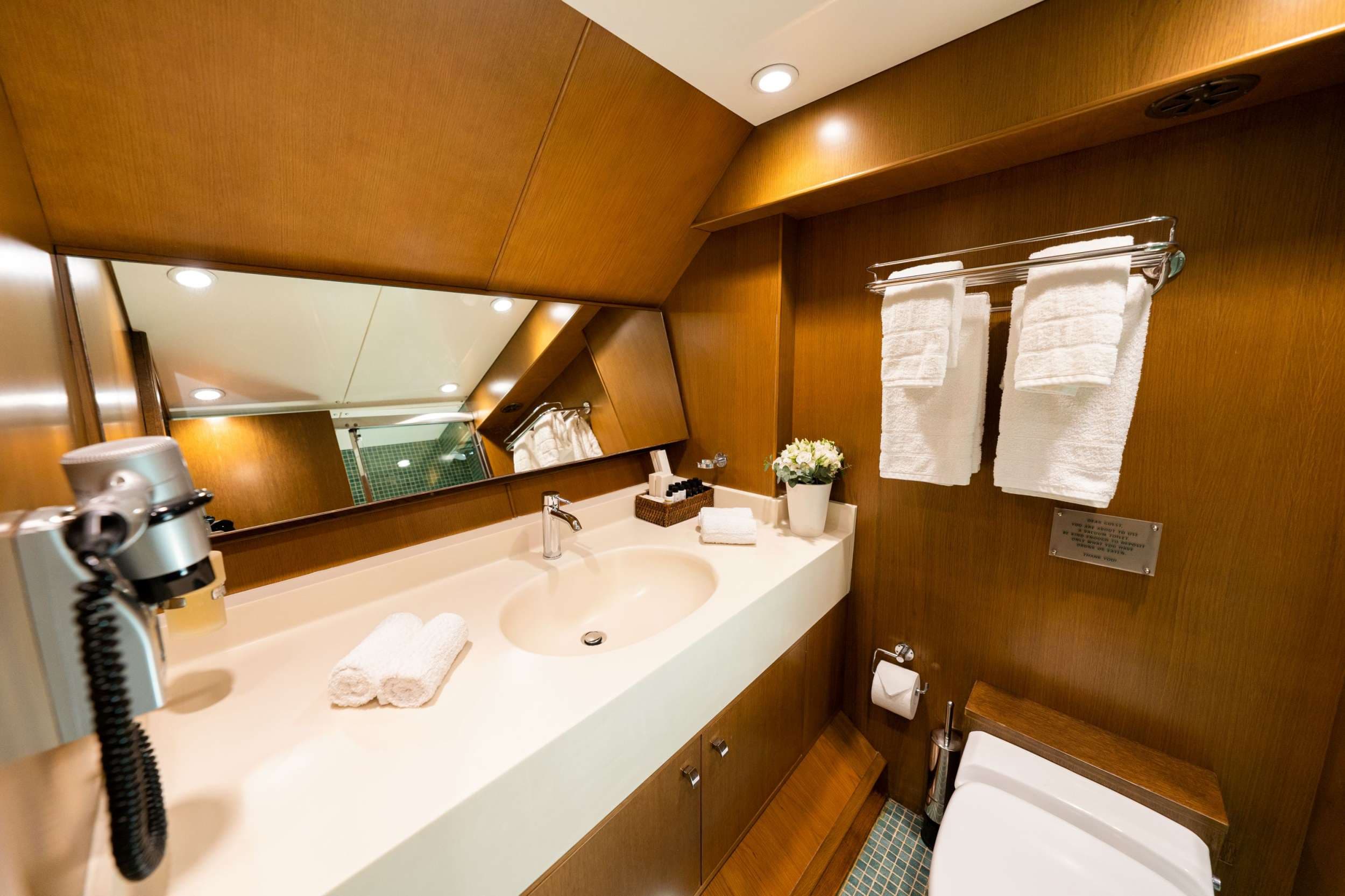 Master cabin bathroom