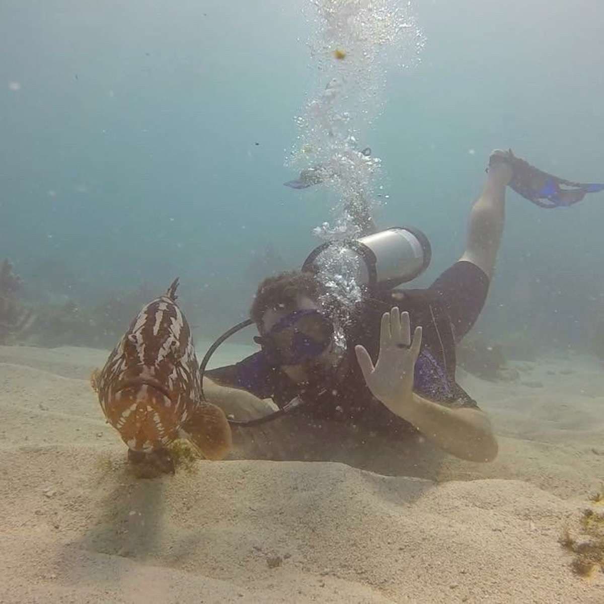 Discover amazing dive sites!