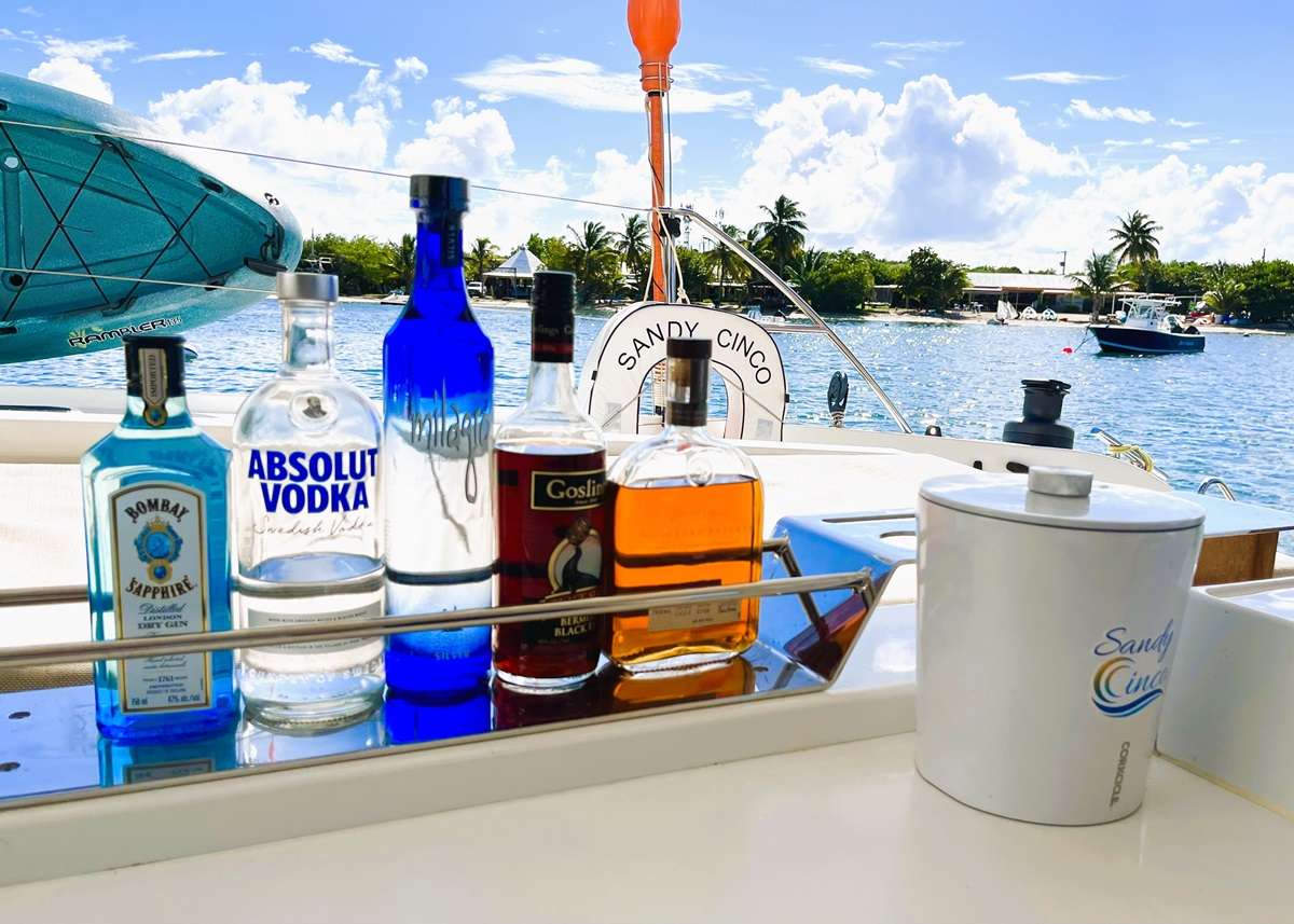 Cockpit cocktail station