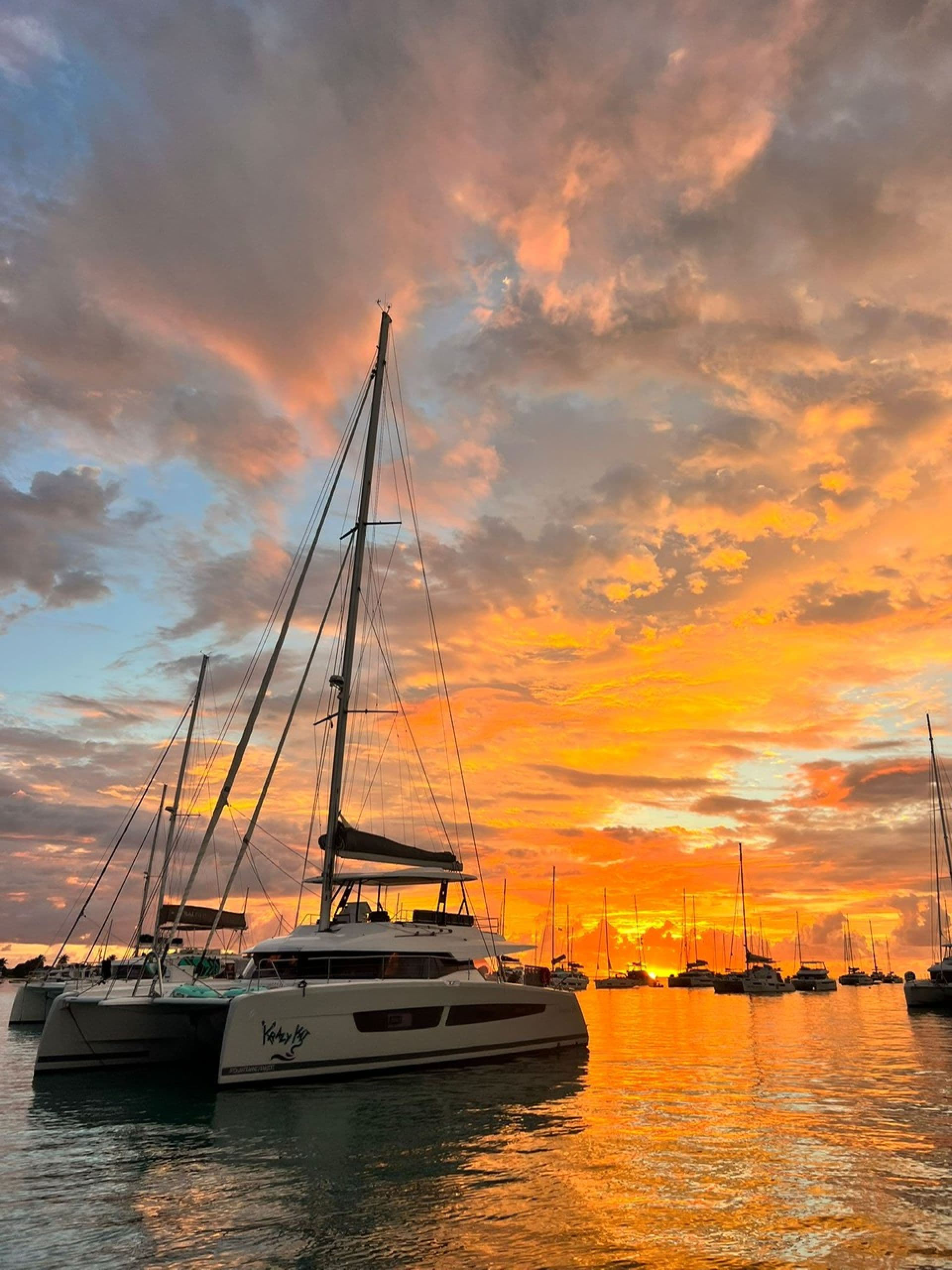 Krazy Kat enjoying an Anegada sunset