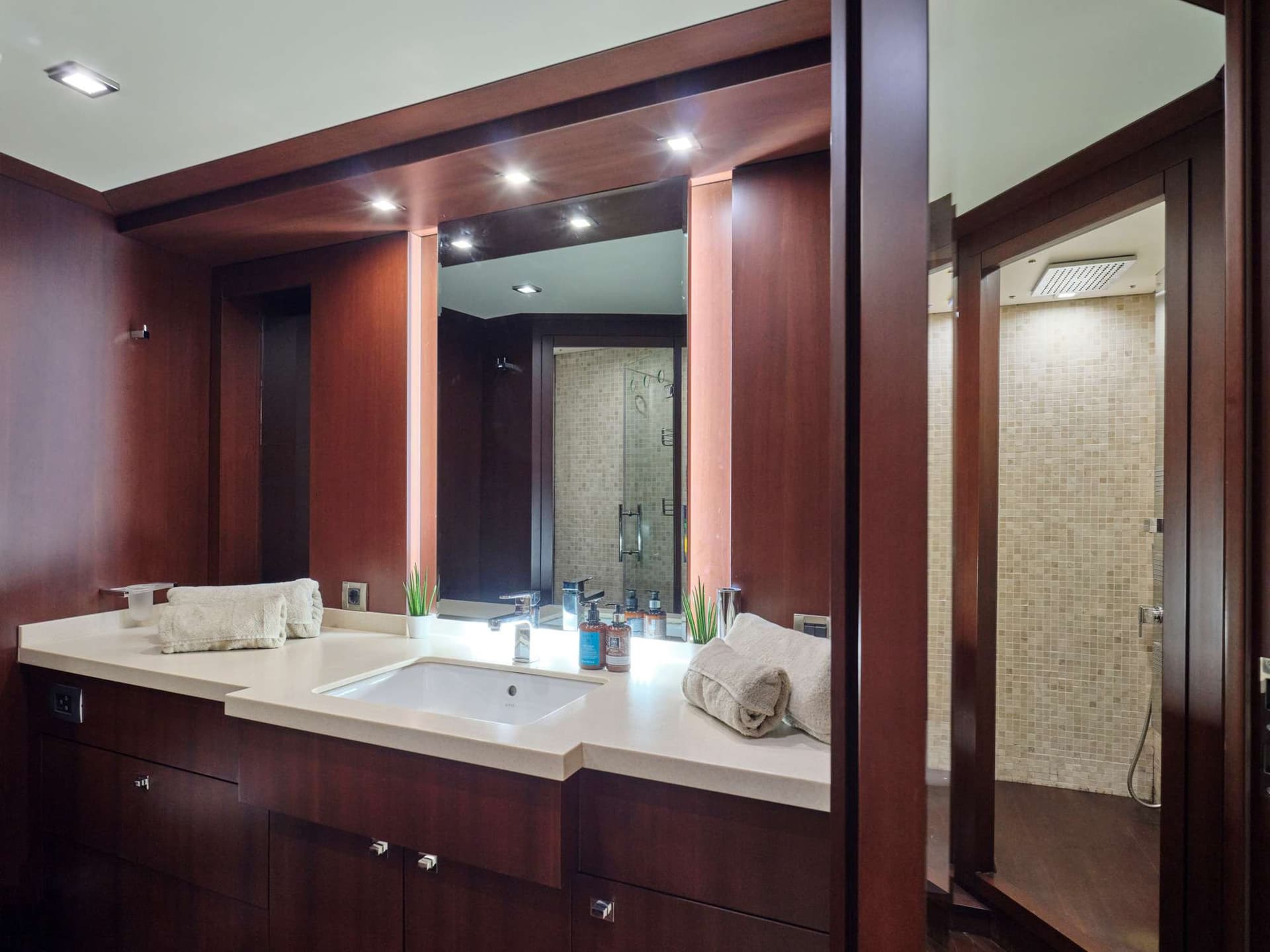 Vip bathroom