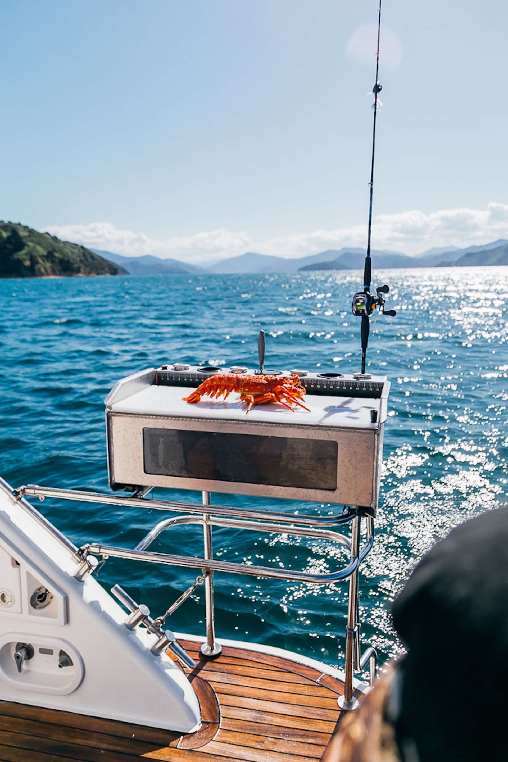 Enjoy delicious fresh seafood - from sea to table.