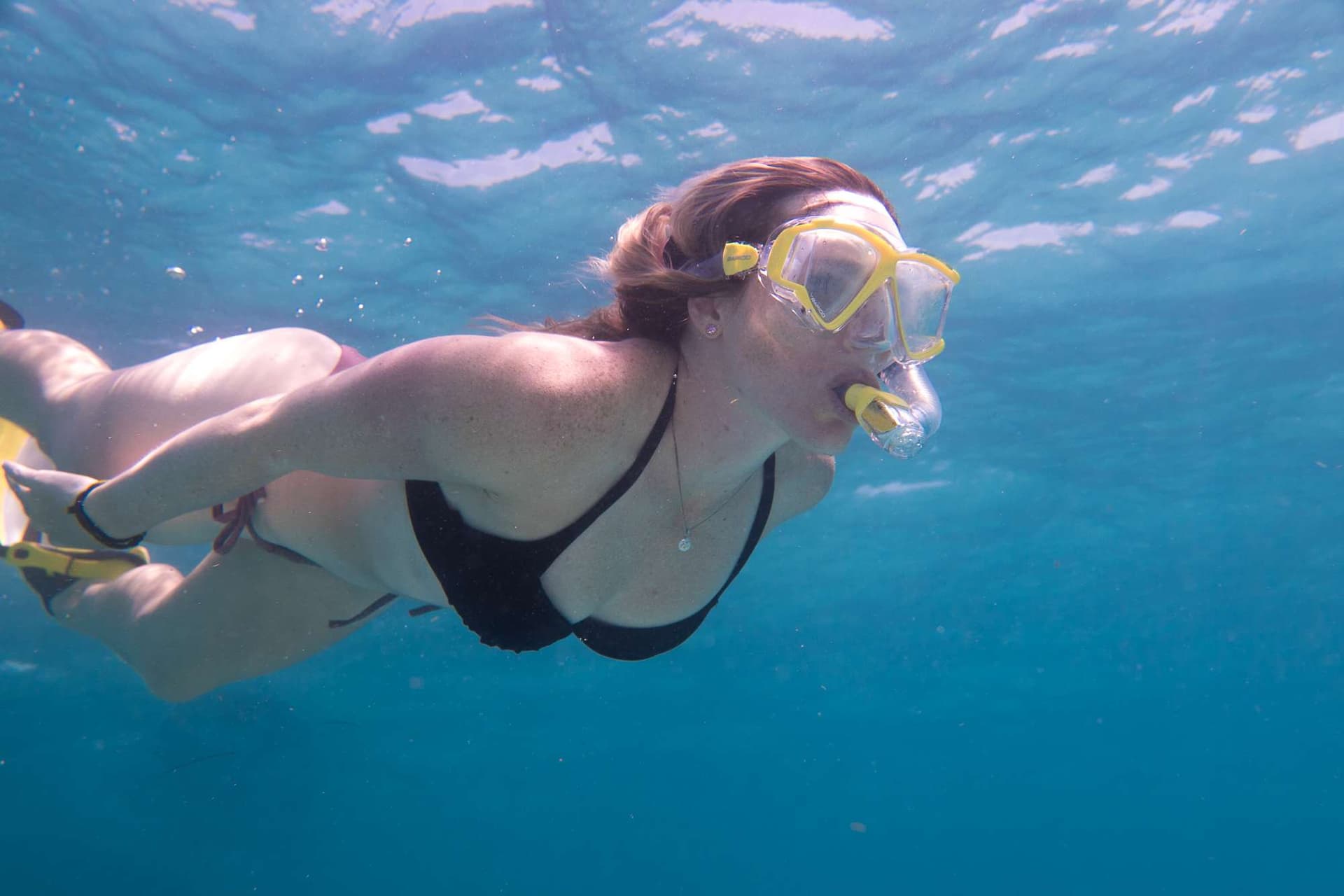 Snorkel