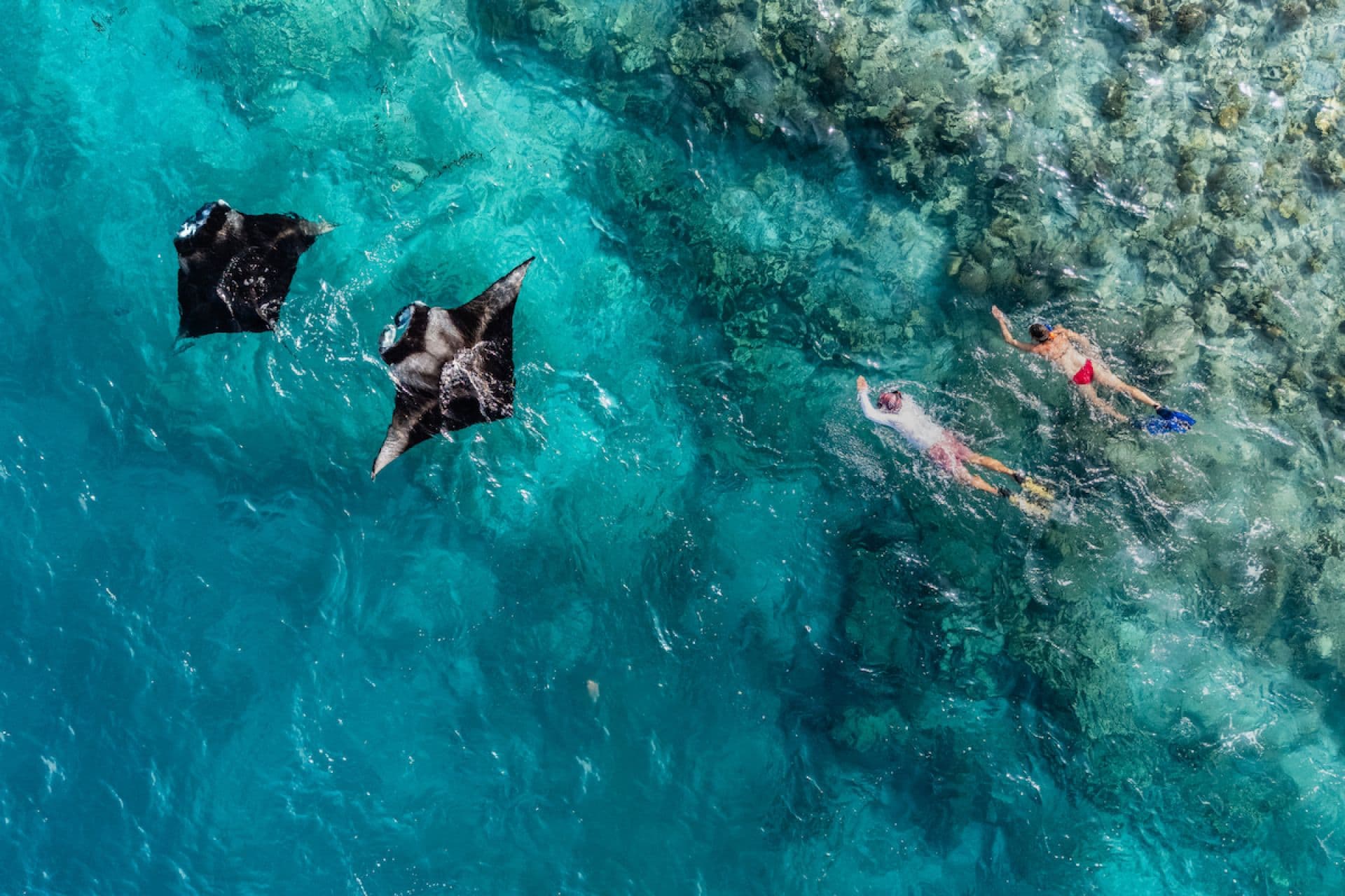 Snorkelling