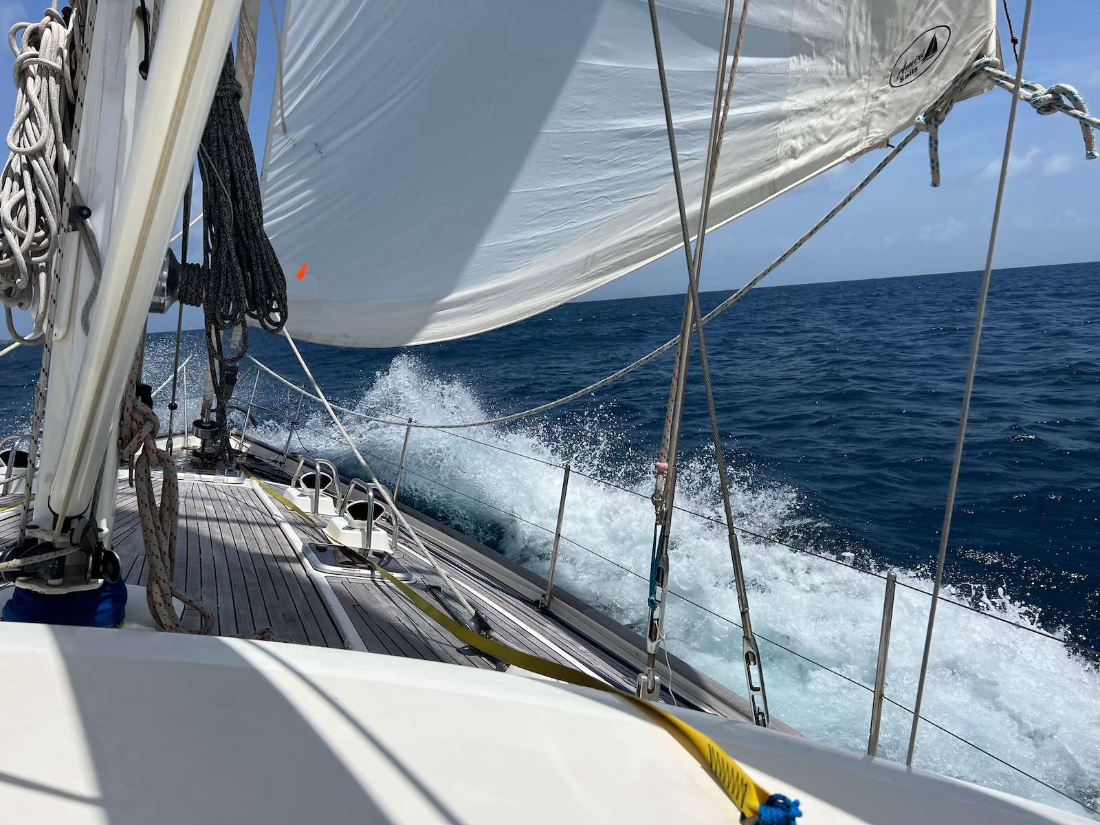SEA PEARL