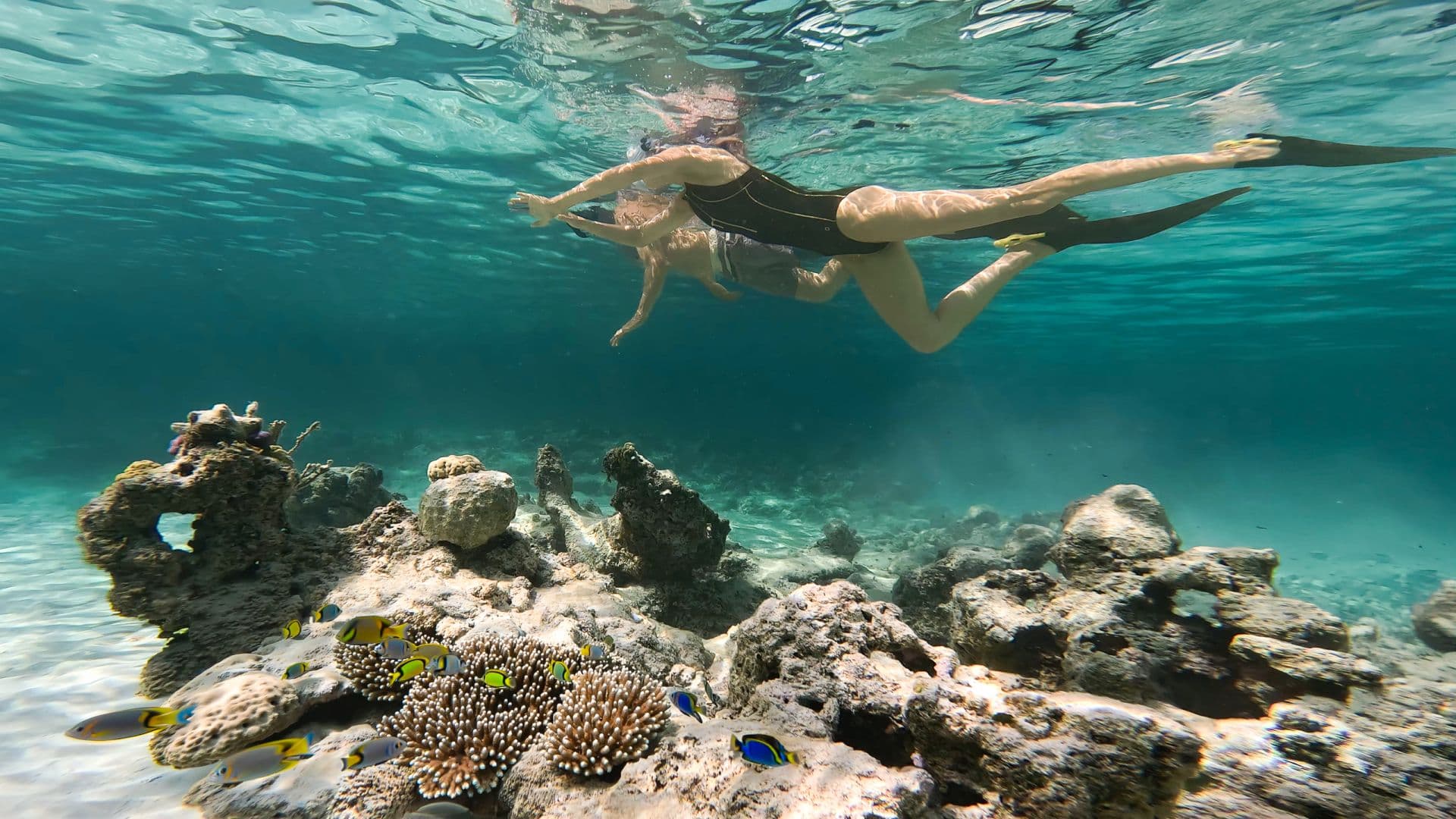 Snorkeling