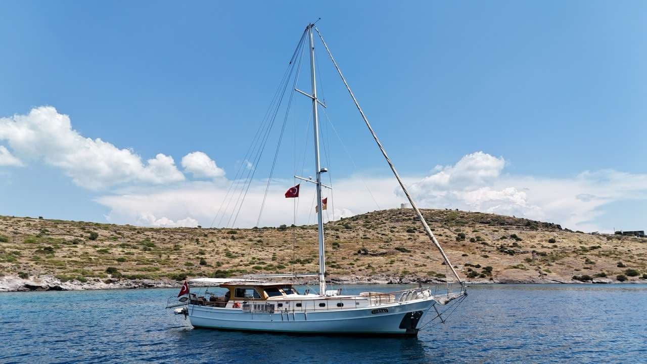 ZORBAS – Custom