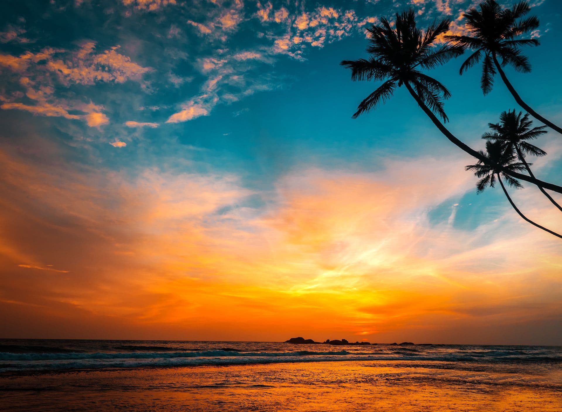 thailand beach sunset three palm trees